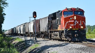 8/7/20 - Canadian National ET44AC 3187 leads CN G893