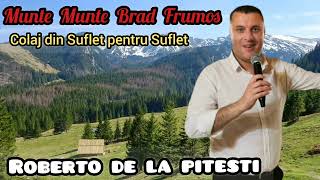 MUNTE MUNTE BRAD FRUMOS - ROBERTO DE LA PITESTI - COLAJ DIN SUFLET PENTRU SUFLET