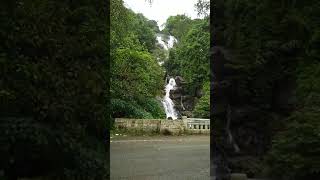 YouTube DANDELI - Mini Dhood Sagar / Anashi Falls. ದಾಂಡೇಲಿ ಅಣಶಿ ಜಲಪಾತ. ಮಿನಿ ದೂಧ್ ಸಾಗರ್.