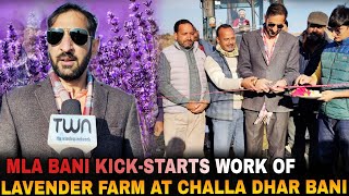 MLA Bani kick-starts Work of Lavender Farm at Chala Dhar Bani