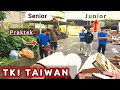 MASIH MAU JADI TKI TAIWAN // KALAU KERJANYA BEGINI