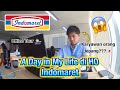 A DAY IN MY LIFE DI KANTOR INDOMARET🇮🇩 Karyawan Orang Jepang🇯🇵😱