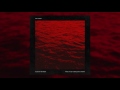 Witt Lowry - Blood In The Water