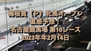 梅桜賞（Ｐ）牝馬オープン 直感予想！ 名古屋競馬場  第10レース 2023年年2月14日