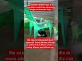 rakam dari luar rumah kucing jalanan,, video origenal dari saya