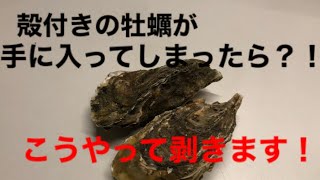 [寿司屋の仕事]殻付き牡蠣の剥き方