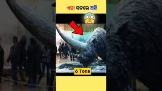 ଏହା ସତରେ ଅଛି 😱 #shorts #short #shortsfeed #odiafacts #odianews