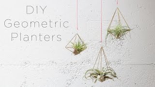 Hanging Geometric Planters for Air Plants