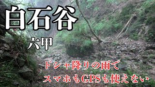 白石谷　六甲　 2024.8.5