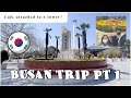 EP 5~1: BUSAN TRIP | Taking the KTX Train | Busan Tower | Study Abroad