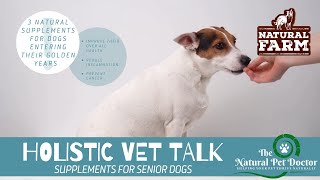 Holistic Vet Talk: Supplements For Senior Dogs🐕 [Natural Farm - 100% Natural Dog Chews]