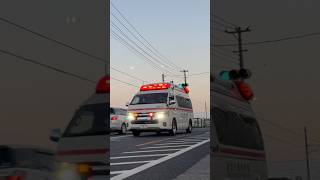 越谷市へ搬送。　草加八潮消防局　草加北1 (救急車) ハーモニックサイレン！