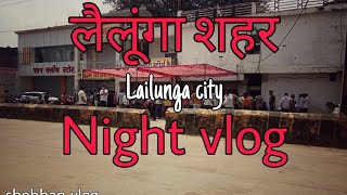 लैलूंगा शहर || Lailunga city vlog || Night vlog || Must watch full video || #shobhanbhagatvlogs ||