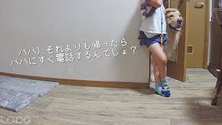 初めて学校から親のいない家に帰宅したねぇねと愛犬が、色々やらかしてたw