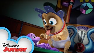 Young Pups | Puppy Playcare | Puppy Dog Pals | Disney Junior