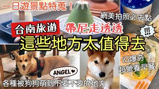 【說走就走】台南也太多好去的地方了!!柴犬餐廳．文創園區．巷弄小店/Tainan trip/超滿喫の旅．台湾PART2