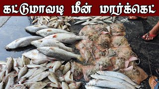 மீன் ஏலம் கட்டுமாவடி மீன் மார்க்கெட் || Kattumavadi Meen Market