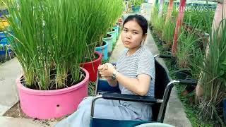 Mechai Pattana School : Wheelchair