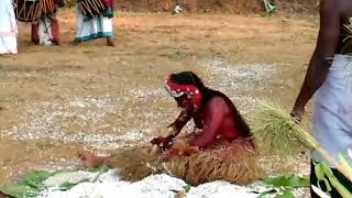 Kannur theyyam Festival ജീവനുള്ള കോഴിയെ തിന്നുന്ന തെയ്യം