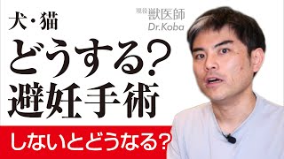 【犬・猫】避妊手術をした方がいいの？【獣医師・愛玩動物看護師】