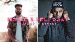 Insane X Peli Waar - Mashup (Slowed + Reverb) Lo-Fi Mix #trending #viral #slowedandreverb #slowed