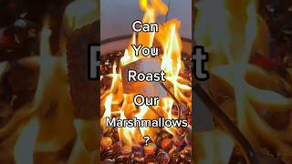 Can you roast our marshmallows? 🔥 #marshmallows #marshmallowroasting #campfire #