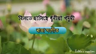 Bilote Halise Dhunia Padumi Lyrics ||বিলতে হালিছে ধুনীয়া পদুমী|| Rabha Sangeet