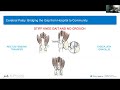 orthopedic management of the ambulatory child with cerebral palsy dr. paulo selber