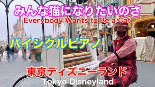 「おしゃれキャット」 バイシクルピアノ　TDL　2021.06.06　ディズニーランド　Tokyo Disneyland　Bicycle Piano　Steven Shaw