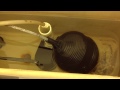 How to adjust a ball float in your commode How to adjust a ball float in your commode