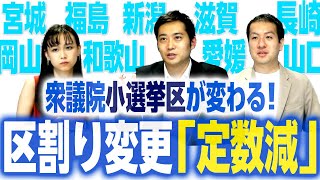 衆院選の区割り変更10増10減で何が変わる？定数減の選挙区に注目！｜第143回 選挙ドットコムちゃんねる #3