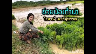 #เพลง ช่วยน้องทำนา (เทป) ไวพจน์ เพชรสุพรรณ