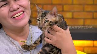 Kucing-Kucing Yang Lucu, Imut, dan Mahal | BERCANDA PAGI (11/01/22) Part 5