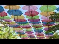 Sunday is the last chance to see the Umbrella Sky Project