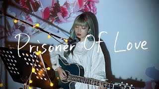 Prisoner Of Love / 宇多田ヒカル Cover by 野田愛実(NodaEmi)【フジテレビ系ドラマ「ラスト・フレンズ」主題歌】