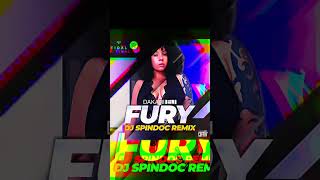 Dakari Eli - Fury Reprise (DJ SpinDoc Remix Promo