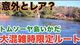 意外とレア？トムソーヤ島いかだ「大混雑時限定ルート」【ディズニーランド】