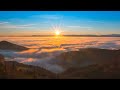 4k relax video | Nature | beauty of nature #nature #nature lovers