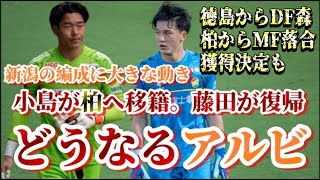 【来季大丈夫？】守護神小島亨介選手が柏レイソルに完全移籍。藤田和輝選手が千葉より復帰。森昂大選手、落合陸選手新加入も【アルビレックス新潟/albirex/小島亨介/藤田和輝/森昂大/落合陸】