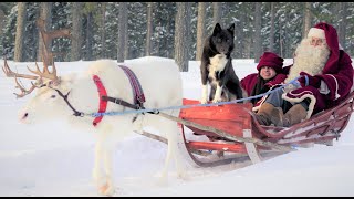 Santa Claus reindeer dog \u0026 Kilvo Elf 🐕🎅🎄🦌 Father Christmas ride for kids in Lapland Finland