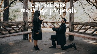 Central Park Marriage Proposal in the Heart of Manhattan
