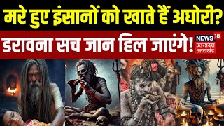 Mahakumbh 2025: अघोरी के इस रहस्य से उठा पर्दा?| Naga Sadhu|  Mahakal | Lord Shiva | Shamshan | N18K