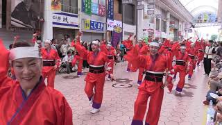 新・もみさんぽ　第70回よさこい祭り（帯屋町筋）【高知県高知市】（令和5年・2023）