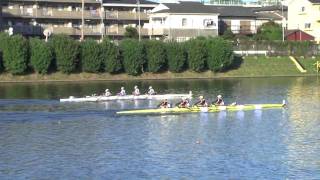 【ボート】第52回全日本新人選手権 123_W4X+_FinalB 52nd All Japan rookie regatta