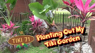 Planting Out My Tropical Tiki Garden 🌴🌺 #spring #gardening