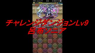 【パズドラ】第11回 チャレンジダンジョンLv9　呂布ソニア