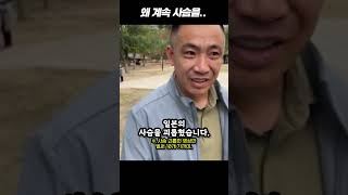 중국인에게 점령당한 일본