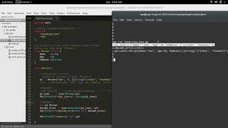 Go Golang JSON encode and decode struct, map, slice, array