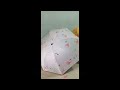 unboxing payung lipat motif lucu