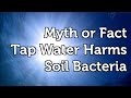 Garden Myth or Fact Does Tap Water Harm Beneficial Soil Bacteria?